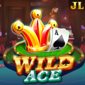 Wild Ace - GameZone App